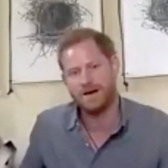 Le prince Harry et Meghan Markle, "auto-exilés", ont vu leur dernière adresse vidéo virtuelle interrompue - par leur chien de compagnie. Le chien a sauté sur le canapé de leur villa californienne de 14 millions de dollars lors d'une intervention sur le racisme en Grande-Bretagne. Le beagle nommé Guy ne s'est pas inquiété du sujet de la vidéo. Le couple demande la fin du "racisme structurel" en Grande-Bretagne. Dans l'interview, Harry a révélé son "éveil" aux problèmes auxquels sont confrontés les Noirs après avoir rencontré sa femme. 