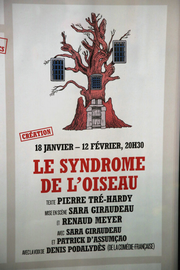 Exclusif - No Web - Illustration affiche - People lors de la générale de la pièce "Le syndrome de l'oiseau" au théâtre du Rond-Point à Paris. Le 17 janvier 2023 © Bertrand Rindoff Petroff / Bestimage 