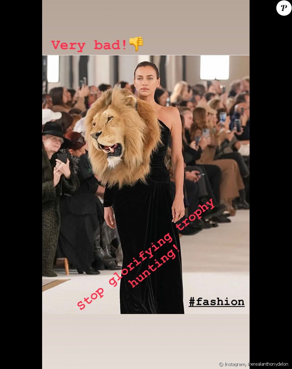 Anthony Delon sur Instagram.