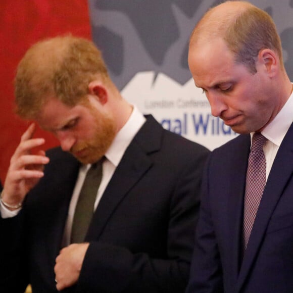 Le prince William, duc de Cambridge, et le prince Harry, duc de Sussex, lors de la conférence "2018 Illegal Wildlife Trade" au palais St James à Londres. 