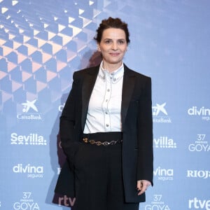 Juliette Binoche a pris position contre la réforme des retraites
Juliette Binoche recevra un prix honorifique, Goya International, lors de la 37ème cérémonie des Goya à Séville. 