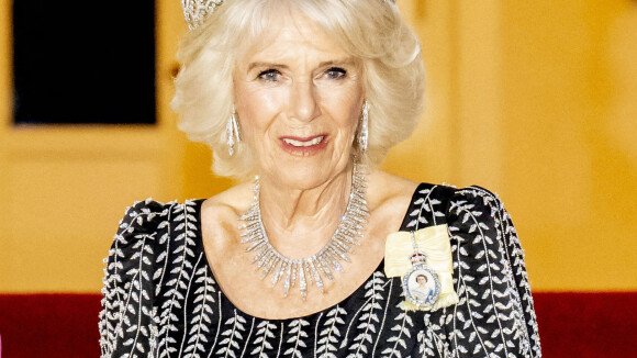 Camilla Parker Bowles : Tiare, gros collier de diamants et robe scintillante en Allemagne : la reine brille de mille feux !