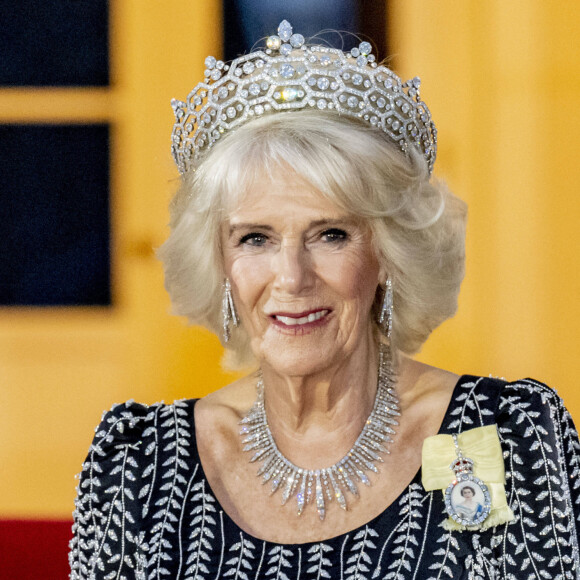 Tenue qu'elle avait accompagnée de bijoux de la famille royale : la tiare Greville de la maison Boucheron et un collier de diamants offerts par la reine Elizabeth II
La reine consort Camilla Parker Bowles - Arrivées au dîner d'état donné par le président allemand et sa femme en l'honneur du roi d'Angleterre et de la reine consort, au Château Bellevue à Berlin, à l'occasion du premier voyage officiel du roi d'Angleterre en Europe. Le 29 mars 2023 