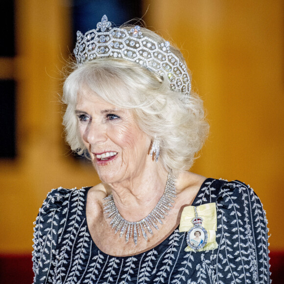 La reine consort Camilla Parker Bowles - Arrivées au dîner d'état donné par le président allemand et sa femme en l'honneur du roi d'Angleterre et de la reine consort, au Château Bellevue à Berlin, à l'occasion du premier voyage officiel du roi d'Angleterre en Europe. Le 29 mars 2023 