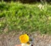 Laure Manaudou a également partagé un cliché du petit bouquet de marguerites qu'elle a pu cueillir

Photo partagée par Laure Manaudou sur Instagram