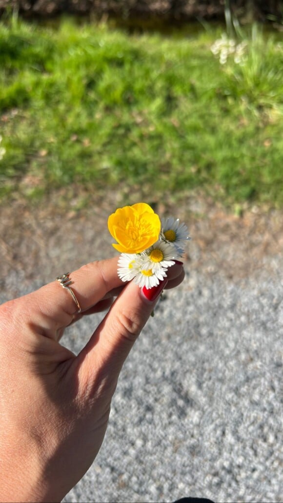 Laure Manaudou a également partagé un cliché du petit bouquet de marguerites qu'elle a pu cueillir

Photo partagée par Laure Manaudou sur Instagram