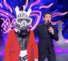 Il se cachait sous le costume du Zèbre
La performance du mystérieux zèbre dans Mask Singer (TF1)