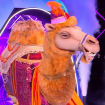 Mask Singer 5 : "Qu'on dégage enfin le Chameau"... polémique avant la finale, Kev Adams pris à partie