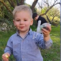 Disparition d'Emile, 2 ans : Des cagnottes de la honte ouvertes, le procureur met en garde les escrocs
