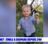 Le petit Émile, 2 ans a disparu il y a plus d'une semaine dans les Alpes-de-Haute-Provence. ©BFMTV