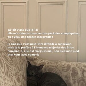 Agathe Auproux donne des nouvelles de son chat malade, Mew. Instagram