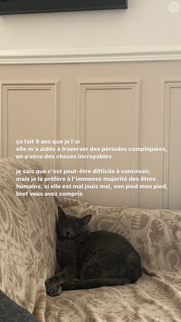 Agathe Auproux donne des nouvelles de son chat malade, Mew. Instagram