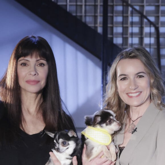 La vétérinaire de l'émission lui présentera également un petit chihuahua.
Exclusif - Mathilda May et Laetitia Benjamin lors de l'enregistrement de l'émission "Animaux Stars", présentée par B.Montiel et diffusée le 9 septembre sur la chaine Animaux TV, à Paris, France, le 24 avril 2023. © Jack Tribeca/Bestimage