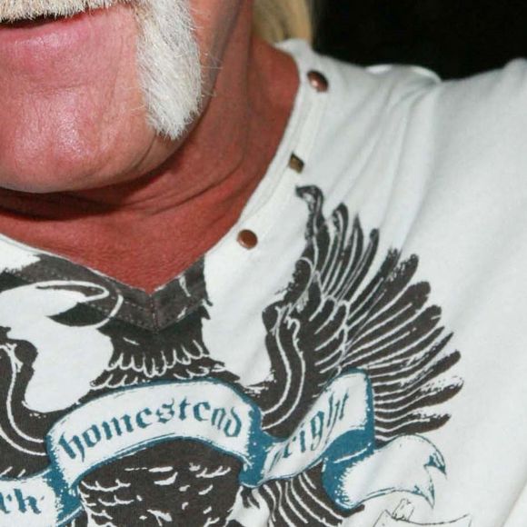Il avait également mis, sur la tête, le traditionnel bandana qu'il porte sur le ring depuis de très nombreuses années.
Hulk Hogan.