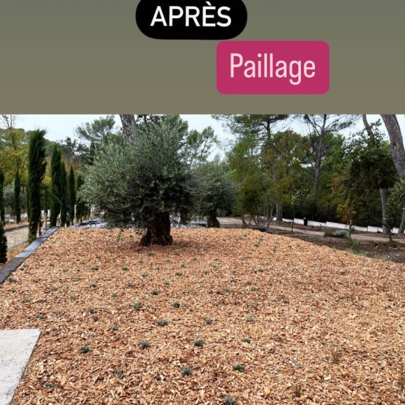 Avec le paillage, le jardin prend une toute nouvelle forme. Le rendu est sublime, et Karine Le Marchand semble satisfaite du résultat.
Avant/après de la nouvelle maison de Karine Le Marchand.