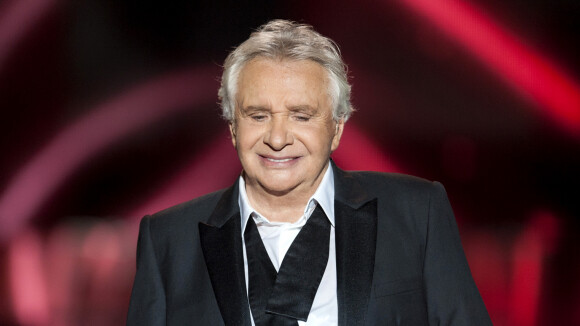 Michel Sardou Chanteur, Interprète