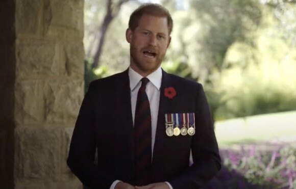 Prince Harry, hommage aux vétérans, novembre 2023.