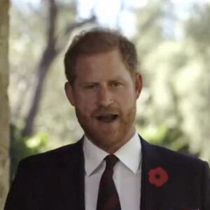 Prince Harry, hommage aux vétérans, novembre 2023.