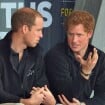 Le prince William et Harry : la vraie raison de leur brouille dévoilée, Meghan Markle mise hors de cause...