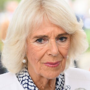 La dernière sortie de la reine consort d'Angelette fait alors plus que jamais sens.
Le roi Charles III d'Angleterre et Camilla Parker Bowles, reine consort d'Angleterre, accueillis par le président de la République française Emmanuel Macron et la première dame Brigitte Macron sur le parvis de Notre-Dame de Paris, France, le 21 septembre 2023, le deuxième jour de sa visite d'État en France. © Jacques Witt/Pool/Bestimage