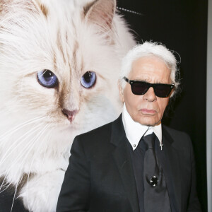 "De cette situation, il ne dit mot à son entourage" 
Karl Lagerfeld au vernissage "Corsa Karl et Choupette" à Berlin en Allemagne le 3 février 2015.