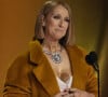 Céline Dion a fait une sublime apparition à Los Angeles pour les Grammy Awards.
Céline Dion lors des Grammy Awards à la Crypto Arena à Los Angeles © Robert Hanashiro-USA Today/SPUS/ABACAPRESS.COM
