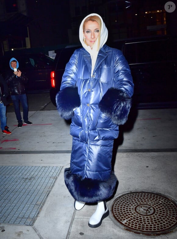 Alors qu'elle n'avait plus fait d'apparition publique depuis un bon moment.
Celine Dion brave le froid de New York avec une maxi doudoune le 7 mars 2020.