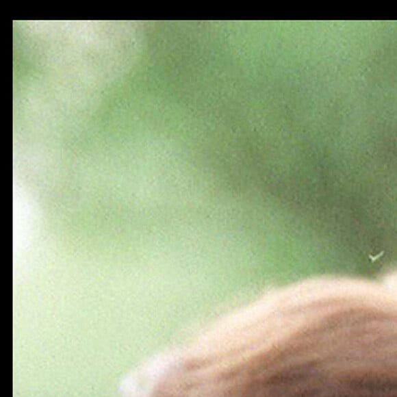 Emmanuelle Béart et Daniel Auteuil - Obsèques de Claude Sautet au cimetierre du Montparnasse à Paris.