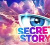 Après 7 ans d'absence, "Secret Story" a signé son retour sur TF1
Logo de "Secret Story"