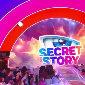 Des candidats, non prévus dans le casting initial, ont été repêchés
Christophe Beaugrand sur le plateau de "Secret Story"