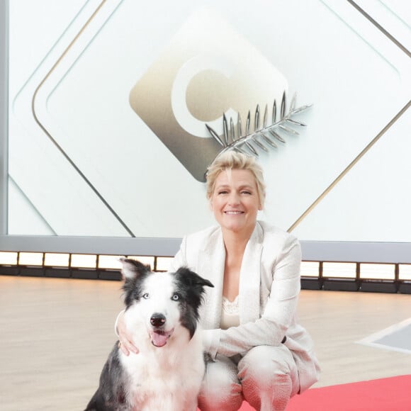 Exclusif - Anne-Elisabeth Lemoine et le chien Messi sur le plateau de l'émisson "C à vous" lors du 77ème Festival International du Film de Cannes le 15 mai 2024. © Jack Tribeca / Bestimage 