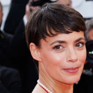 Bérénice Bejo - Montée des marches du film " La plus précieuse des marchandises " lors du 77ème Festival International du Film de Cannes, au Palais des Festivals à Cannes. Le 24 mai 2024 © Jacovides-Moreau / Bestimage 