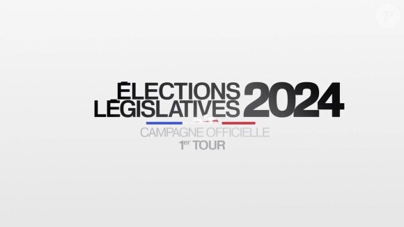 De nouvelles déprogrammations vont secouer les téléspectateurs à quelques jours du premier tour des élections législatives
Logo des élections législatives anticipées