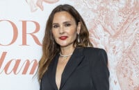 Virginie Ledoyen est l'ex belle-soeur d'une célèbre membre de famille princière