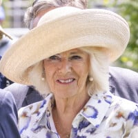 Camilla Parker Bowles en mode bisou et accolade... Privée de Charles, elle retrouve son ex-mari !