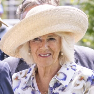 Camilla Parker Bowles s'est rendue sans son époux le roi Charles à une course à Ascot
La reine consort d'Angleterre, Camilla Parker Bowles et son ex mari Andrew Parker Bowles lors du QIPCO King George Day à Ascot