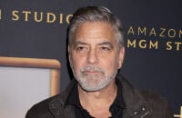 MAISONS de STARS George Clooney propriétaire dans le Va, il a acquis son somptueux domaine d'une façon déroutante