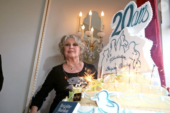 À presque 90 ans, Brigitte Bardot continue à s'investir pour la défense des animaux...
La légende française Brigitte Bardot pose devant le gâteau géant lors de la célébration de son double anniversaire, les 20 ans de son association "Fondation Brigitte Bardot", qui lutte pour les droits des animaux, et son propre anniversaire. La fête a lieu au théâtre Marigny à Paris, France. Photo par Denis Guignebourg/ABACAPRESS.COM