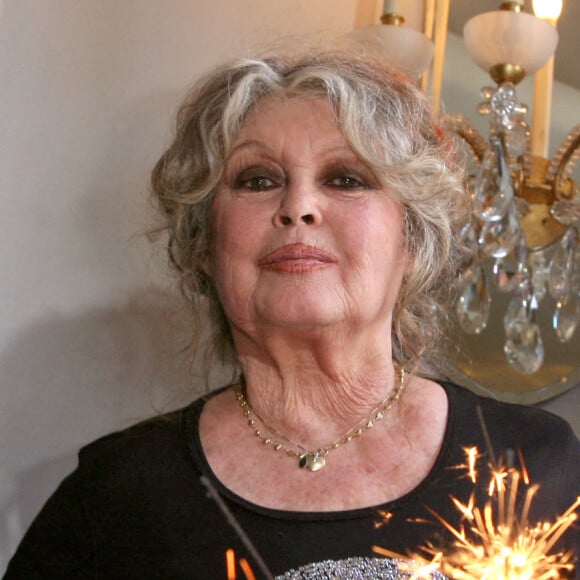 À presque 90 ans, Brigitte Bardot continue à s'investir pour la défense des animaux...
La légende française Brigitte Bardot pose devant le gâteau géant lors de la célébration de son double anniversaire, les 20 ans de son association "Fondation Brigitte Bardot", qui lutte pour les droits des animaux, et son propre anniversaire. La fête a lieu au théâtre Marigny à Paris, France. Photo par Denis Guignebourg/ABACAPRESS.COM