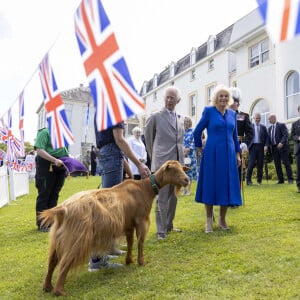 Le roi Charles III (Le roi Charles III d'Angleterre) et la reine Camilla (Camilla Parker Bowles, reine consort d'Angleterre) observant de rares chèvres dorées de Guernesey lors d'une visite aux Cotils à L'Hyvreuse, lors d'une visite officielle à Guernesey en juillet 16, 2024 à Saint-Pierre-Port, Guernesey. © Ian Vogler/MirrorPix/Bestimage