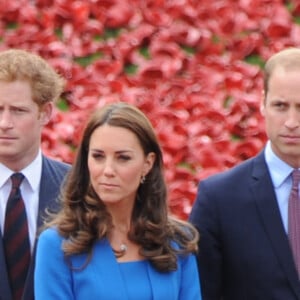 Le prince Harry d'Angleterre, Catherine Kate Middleton, la duchesse de Cambridge et le prince William, duc de Cambridge visitant la tour de Londres entourée d'une mer pourpre à Londres le 5 août 2014. Cette installation, conçue par l'artiste Paul Cummins et le designer Tom Piper, va commémorer chaque fatalité britannique ou Colonial de la première guerre mondiale en plantant 888 246 coquelicots en céramique rouge dans une mer qui coule autour de la tour. 