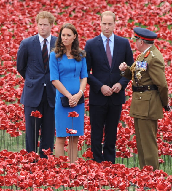 Le prince Harry d'Angleterre, Catherine Kate Middleton, la duchesse de Cambridge et le prince William, duc de Cambridge visitant la tour de Londres entourée d'une mer pourpre à Londres le 5 août 2014. Cette installation, conçue par l'artiste Paul Cummins et le designer Tom Piper, va commémorer chaque fatalité britannique ou Colonial de la première guerre mondiale en plantant 888 246 coquelicots en céramique rouge dans une mer qui coule autour de la tour. 