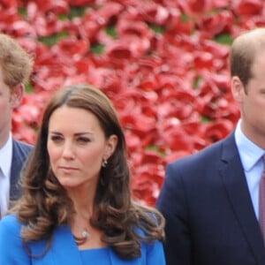 Le prince William, Catherine Kate Middleton, la duchesse de Cambridge et le prince Harry visitent la tour de Londres entourée d'une mer pourpre à Londres le 5 août 2014. Cette installation, conçue par l'artiste Paul Cummins et le designer Tom Piper, va commémorer chaque fatalité britannique ou Colonial de la première guerre mondiale en plantant 888 246 coquelicots en céramique rouge dans une mer qui coule autour de la tour. 