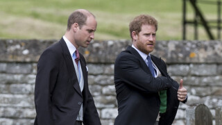 Harry et William complices ? Une experte démolit ce que tout le monde pensait au sujet des deux frères