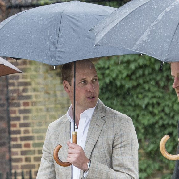 Le prince William, duc de Cambridge et le prince Harry lors de la visite du Sunken Garden dédié à la mémoire de Lady Diana à Londres le 30 août 2017. 