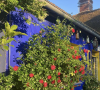 Elle vit dans une maison qui reflète sa personnalité joyeuse et châtoyante
La maison de Caroline Loeb regorge de couleurs vives et châtoyantes !