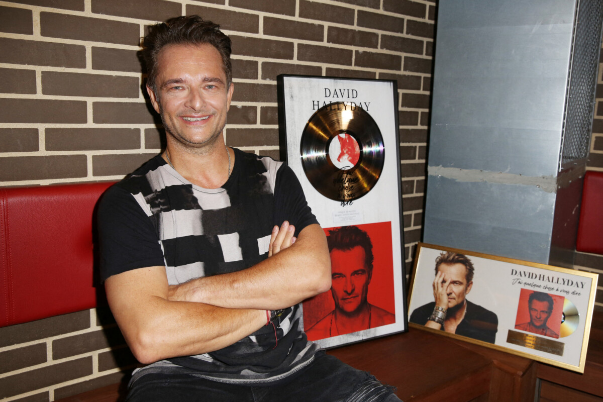 Photo : David Hallyday lors de la soirée de remise du Disque de Platine ...
