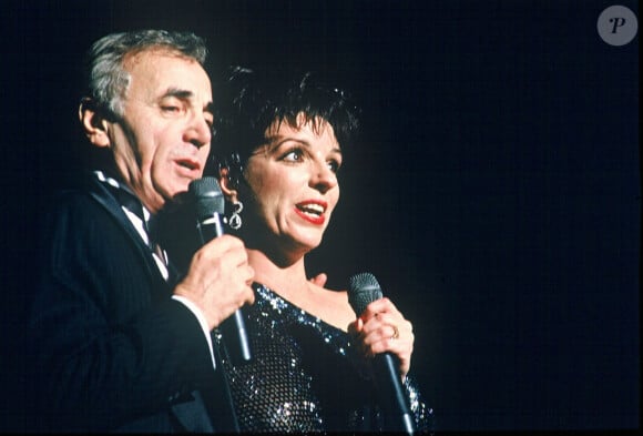 "Charles était mon mentor, mon ami, mon amour. Il me manquera toujours", a déclaré Liza Minnelli à sa mort

Archives - Charles Aznavour et Liza Minnelli.