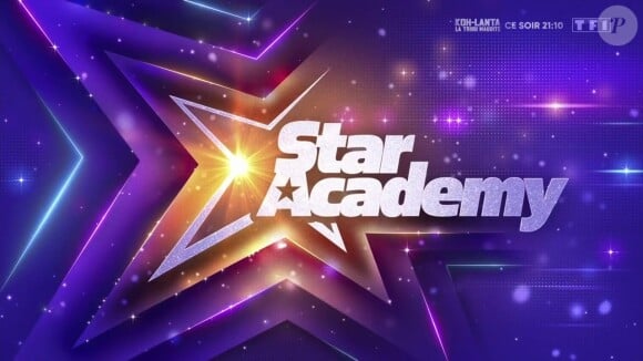 TF1 vient de donner le coup d'envoi d'une saison 12 de la "Star Academy"
Logo de la "Star Academy" sur TF1