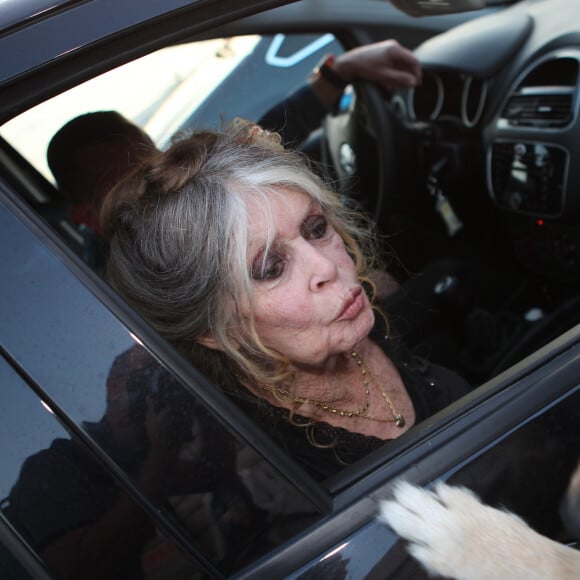 "Depuis plus de soixante ans que je vis ici, jamais je n'avais vu ça", assure Brigitte Bardot
 
Exclusif - Brigitte Bardot et son mari Bernard d'Ormale avant qu'elle pose avec l'équipage de Brigitte Bardot Sea Shepherd, le célèbre trimaran d'intervention de l'organisation écologiste, sur le port de Saint-Tropez, le 26 septembre 2014.